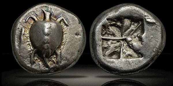 Turtle Coin