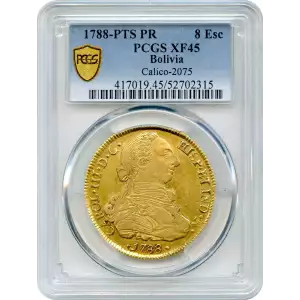 1788-PTS PR 8 Esc Calico-2075 (2)