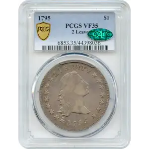 1795 $1 Flowing Hair, 2 Leaves (2)