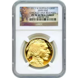 2013 W .9999 FINE CHICAGO ANA RELEASES ULTRA CAMEO