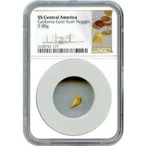 SS Central Gold Nuggets (2)