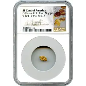 California Gold Rush - Gold Nugget
