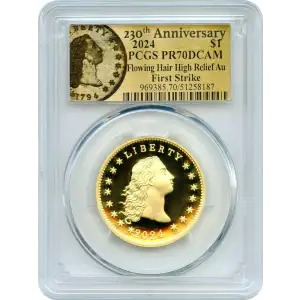 2024 $1 Flowing Hair High Relief Au 230th Anniversary First Strike, DCAM (6)