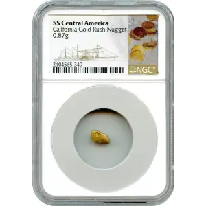 California Gold Rush - Gold Nugget (2)