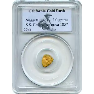 California Gold Rush - Gold Nugget