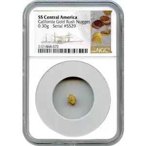 California Gold Rush - Gold Nugget