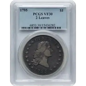 1795 $1 Flowing Hair, 2 Leaves