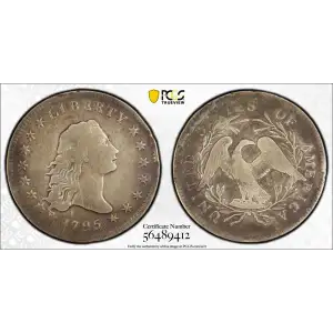 1795 $1 Flowing Hair, 2 Leaves (2)
