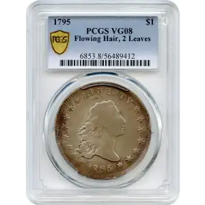 1795 $1 Flowing Hair, 2 Leaves (2)