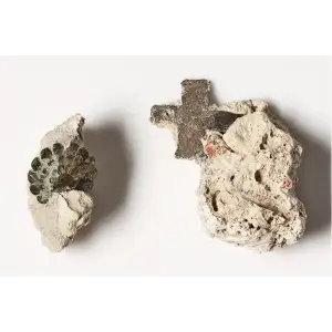 Shipwreck Coral-Encrusted Cross and Button