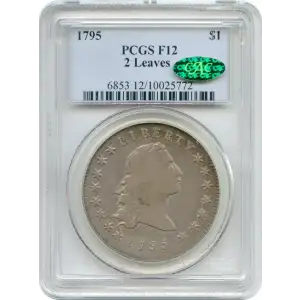1795 $1 Flowing Hair, 2 Leaves (3)