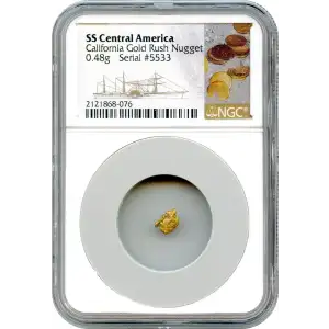 SS Central Gold Nuggets (3)