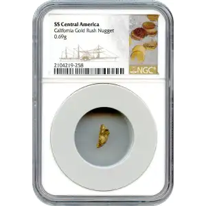 California Gold Rush - Gold Nugget (2)