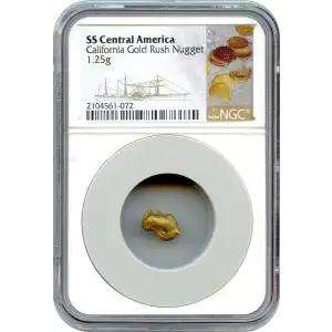 California Gold Rush - Gold Nugget