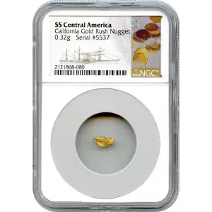 California Gold Rush - Gold Nugget