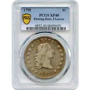 1795 $1 Flowing Hair, 3 Leaves (2)