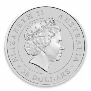 2012 1kg Australian Perth Mint Silver Koala (2)
