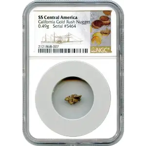 SS Central Gold Nuggets (3)