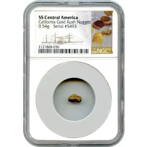 SS Central Gold Nuggets (3)