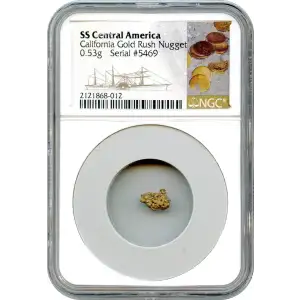 SS Central Gold Nuggets (3)