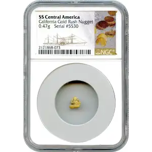 SS Central Gold Nuggets (3)