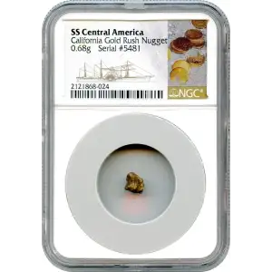 SS Central Gold Nuggets (3)