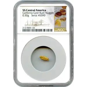 SS Central Gold Nuggets (3)